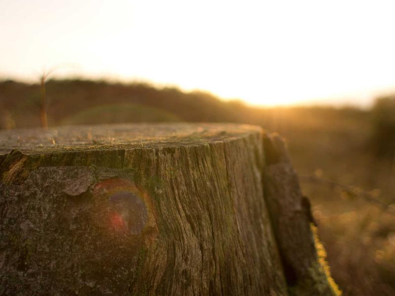 sudoku grid completion screenshot 5